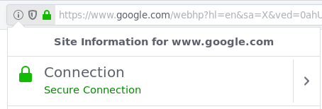 The green lock symbol in the address bar of a browser