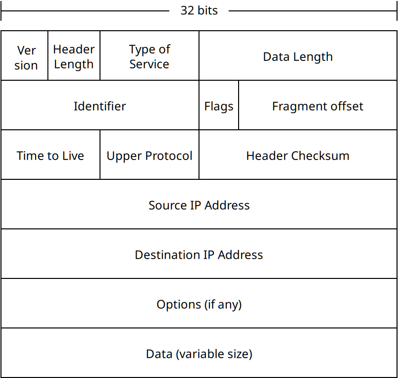 The information in an IP packet