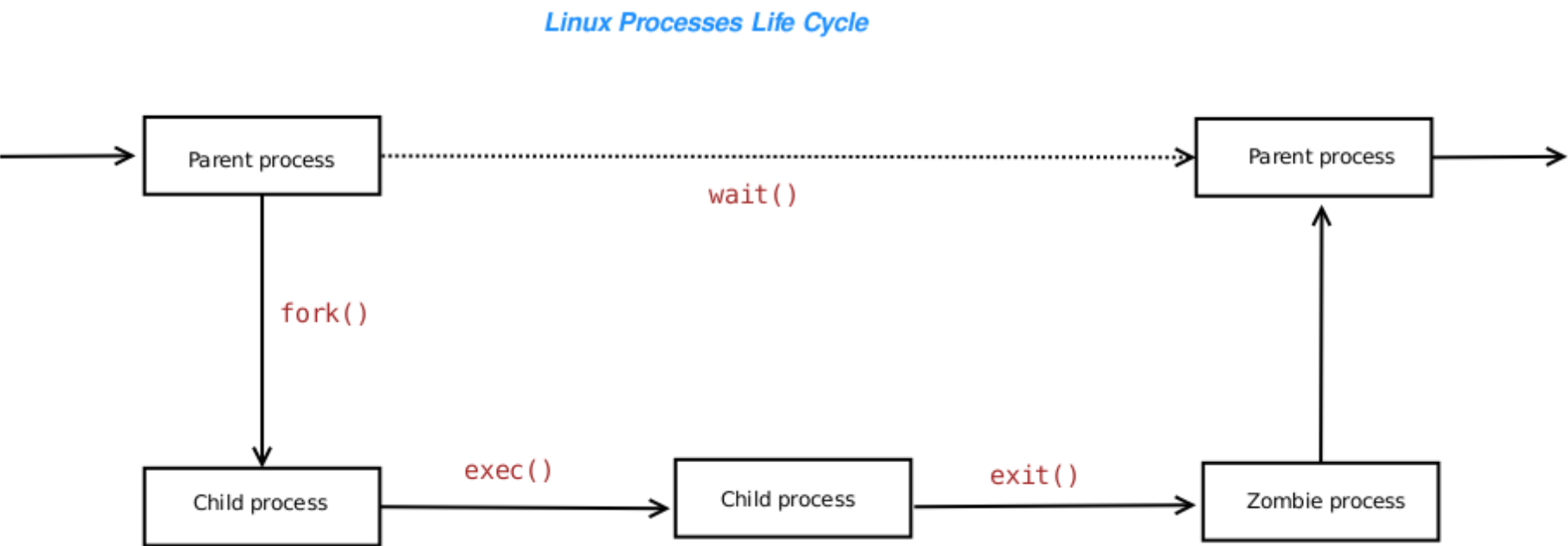 The Linux process life cycle
