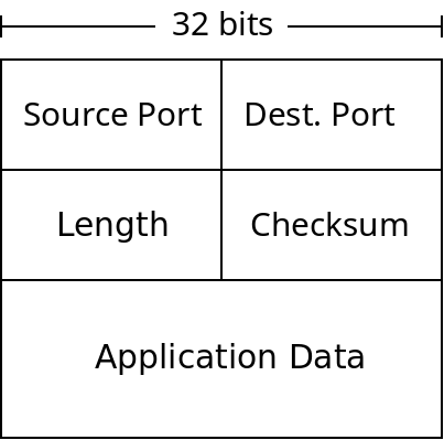 The information contained in a UDP datagram